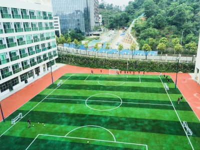 深圳曼彻斯通城堡学校校园图片